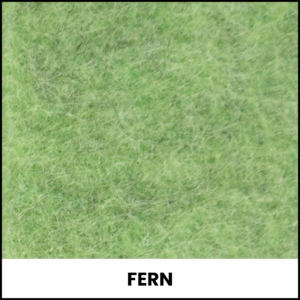 Fern